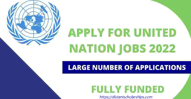 Job Opportunities in UN Application Process Eligibility Criteria